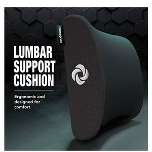 SAMSONITE, Ergonomic Lumbar Support Pillow for Chair